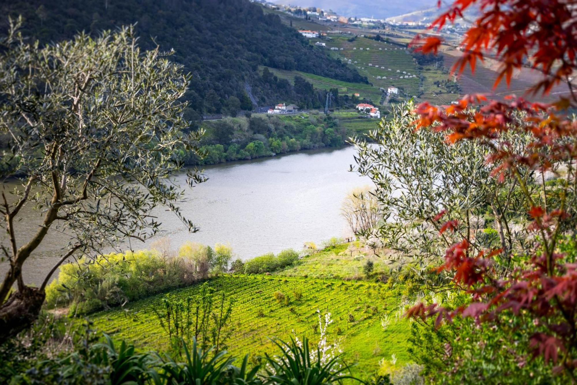 Fraga Douro House, Douro Valley Resende Exterior photo